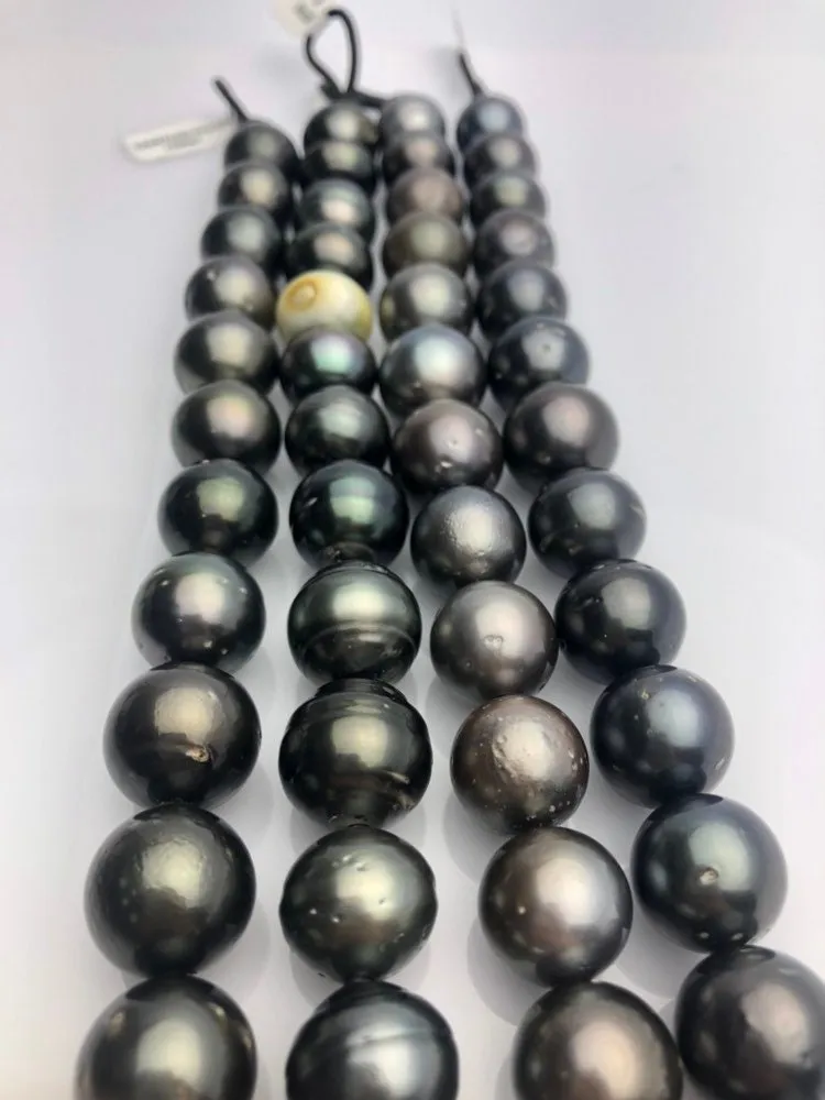 16mm HUGE 50% Off Special - Tahitian Pearl Bracelets, Tahiti Pearls A  (949 No.1-4)