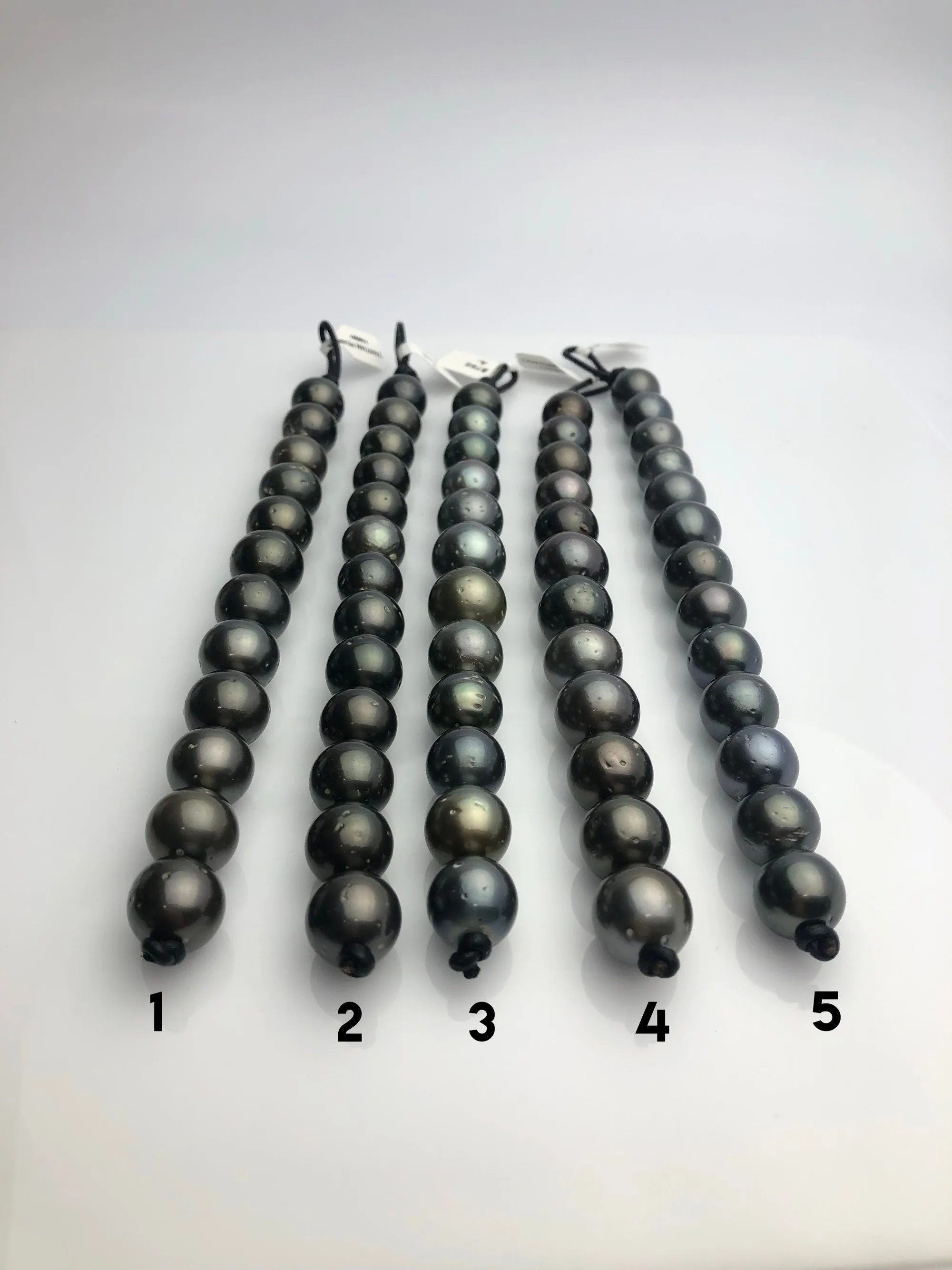 16mm HUGE 50% Off special - Tahitian Pearl Bracelets, Tahiti Pearls A- (950 No. 1-9)