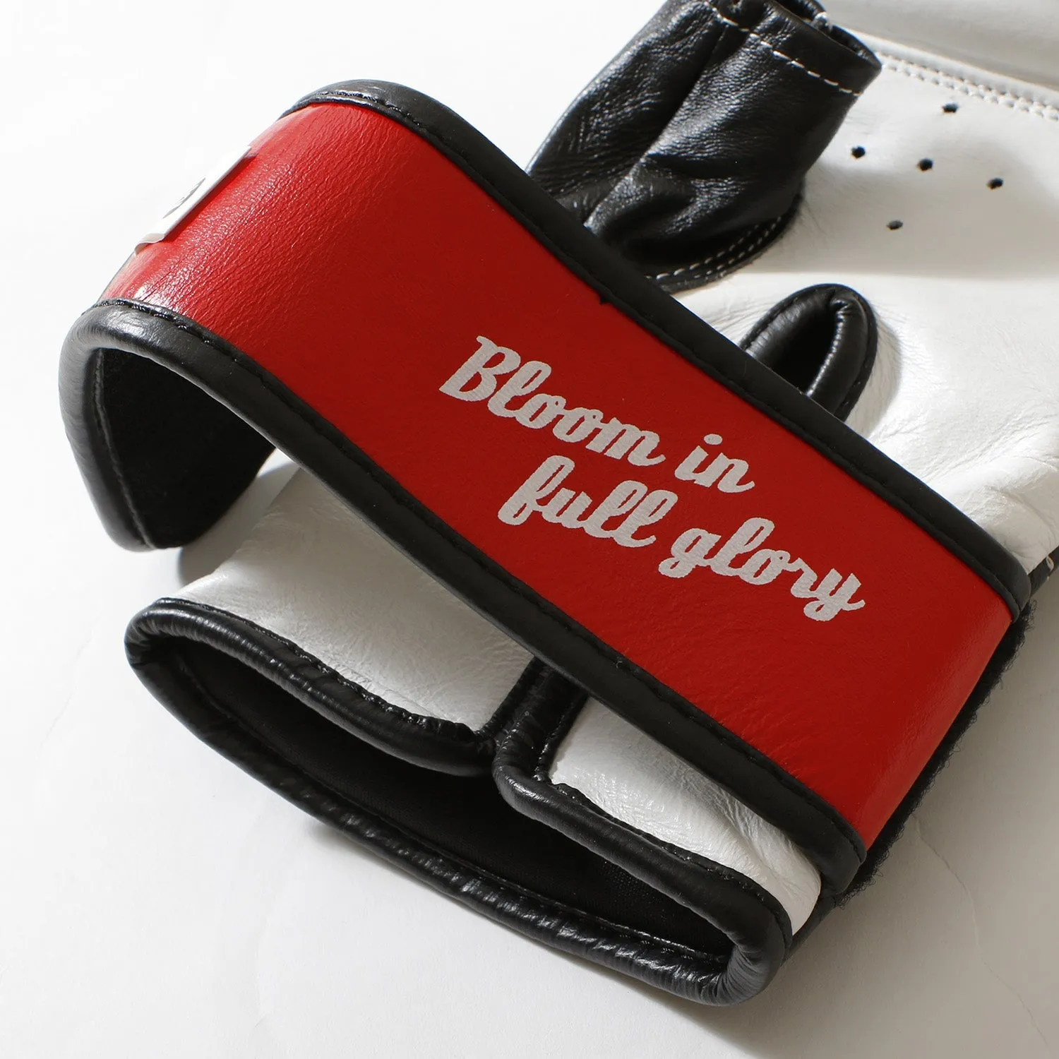 Rizin Punching Gloves